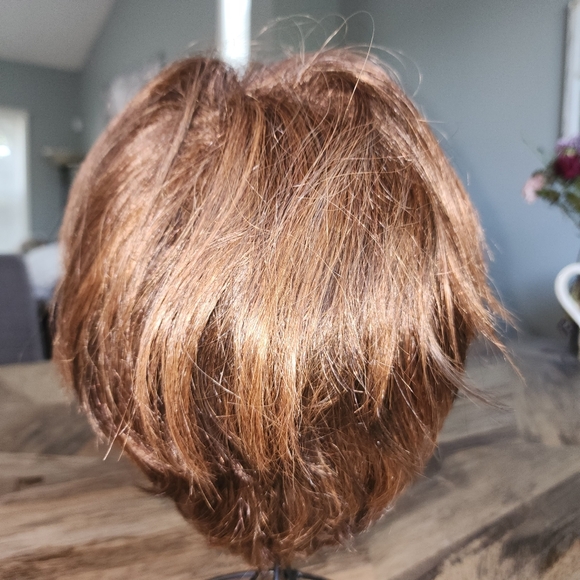 Eva Gabor Brown Short Straight Tapered Wig - Picture 3 of 10